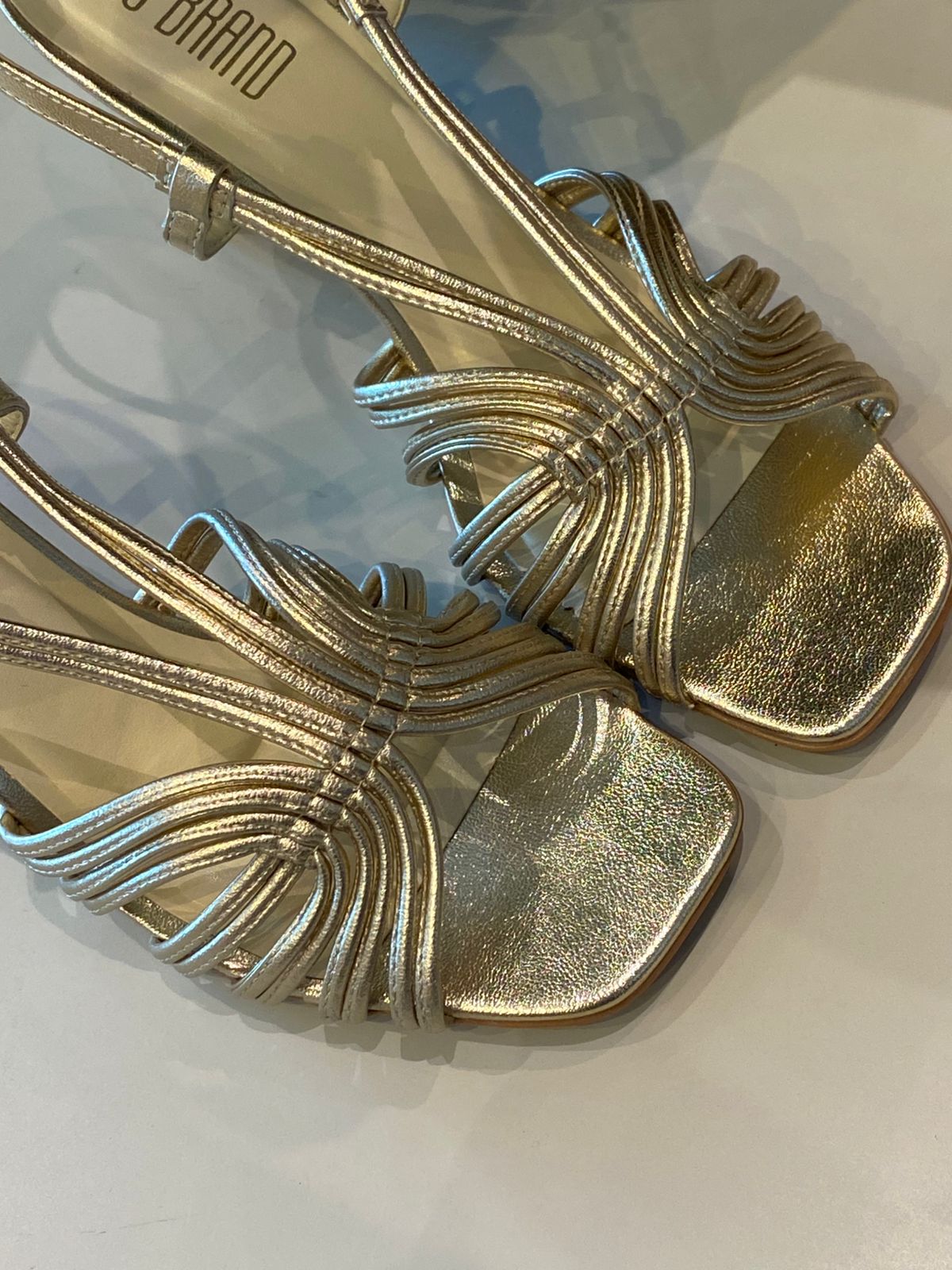 WhatsApp Image 2026-01-22 at 10.36.47 (1)